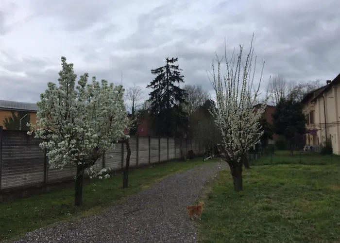 Appartamento in Cascina Cortazza